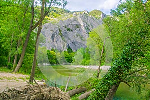 Gola del Furlo provincia Pesaro