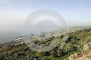 Golan Heights photo