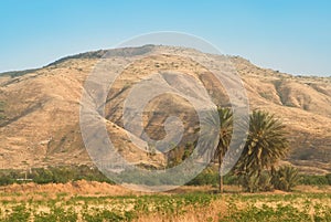 The Golan Heights