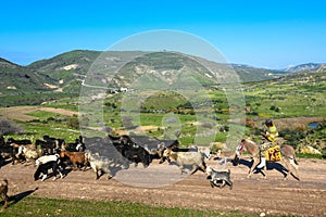 The Golan heights and border between Israel, Siria and Jordan