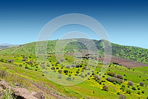 Golan Heights photo