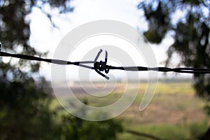 Golani, barbed wire on the minefield