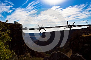 Golani, barbed wire on the minefield