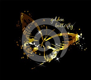 Gold abstract butterfly on black background with reflection. Vector illustration