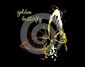 Gold abstract butterfly on black background with reflection. Vector illustration