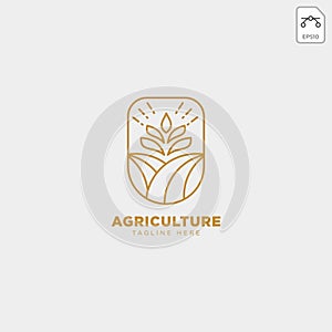 gold agriculture farm line badge vintage logo template vector illustration