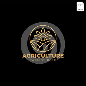 gold agriculture farm line badge vintage logo template vector illustration