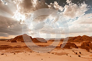 Gold arid desert landscape Sinai, Egypt