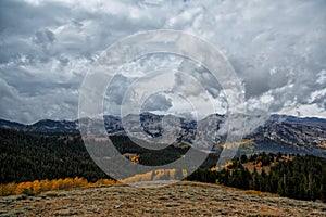 Gold Aspens and a Wasatch View