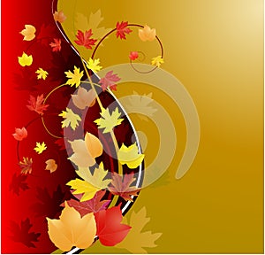 Gold autumn background with leaves