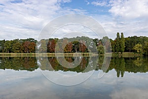 Gold autumn forest reflected in lake in Frankenthal, Germany