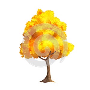 Gold Autumn Tree