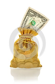 Gold Bag with Money of Coins and One Dollar