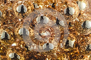 Gold beads in the wine glass with water, bubbles, macro, photo, background for design