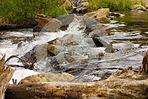 A gold-bearing creek in northern british columbia