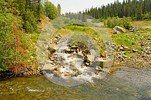A gold-bearing creek in northern canada