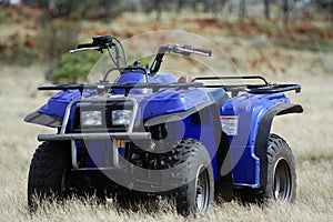 Gold bearing prospection in the Australian bush