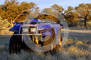 Gold bearing prospection in the Australian bush