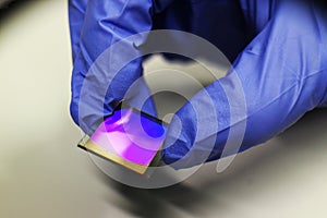 Gold biochip for biomedical and technological applications photo