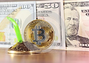 Gold bitcoin, in the background, dollars, decreasing chart, close-up