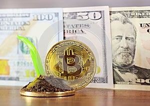 Gold bitcoin, in the background, dollars, decreasing chart, close-up