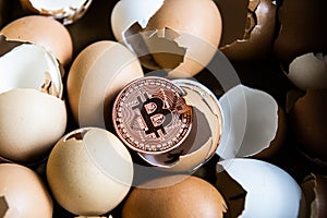 Gold bitcoin coin in broken eggshell