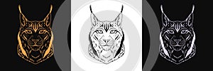 Gold, black and silver lynx head, set of isolated outline lynx face. Predatory bobcat