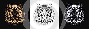 Gold, black and silver tiger head, set of isolated outline tiger face