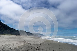 Empty Redwoods National Park beach photo