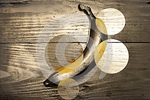 Gold brazilian banana on wooden background . Mixed media