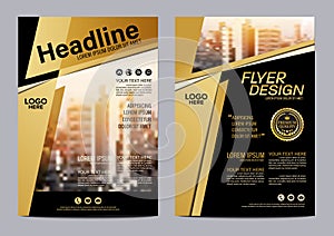 Gold Brochure Layout design template. Annual Report Flyer Leaflet cover Presentation Modern background. illustration vector in A4