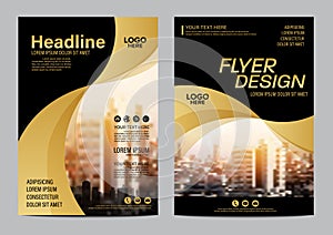 Gold Brochure Layout design template. Annual Report Flyer Leaflet cover Presentation Modern background. illustration vector in A4