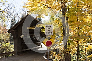 Gold Brooke bridge in Vermont Autumn