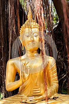 Gold buddha image sit under tree in Temple