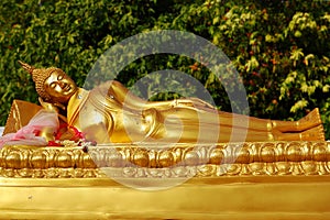 Gold buddha sleeping