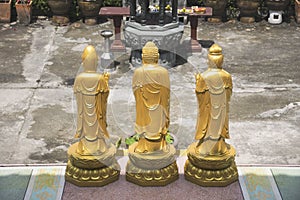 Gold Buddha stand statue.