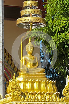 Gold Buddha statue, buddhism religion