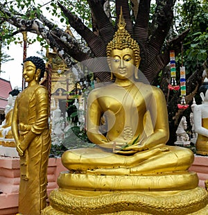 Gold Buddha statue in temple yard