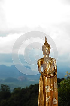 Gold Buddha Statue in Thailand