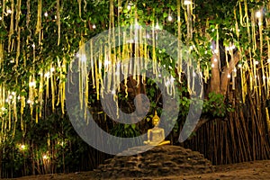 Gold Buddha statue under the tree at night lights