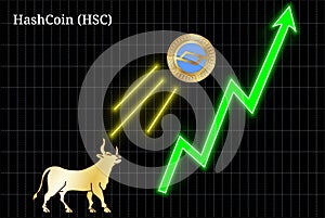 Gold bull, throwing up HashCoin HSC cryptocurrency golden coin up the trend. Bullish chart