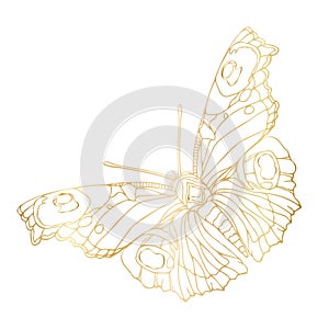 Gold butterfly line art illustration. Butterfly golden foil art illustration. Insect butterfly for stickers, tattoo