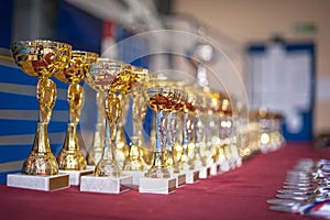 Gold champion trophies and medals lined up in rows