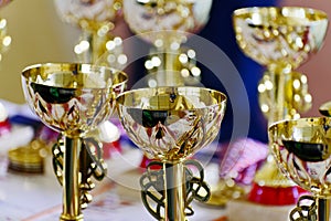 Gold champion trophies and medals lined up in rows. Gold sports cups on the table.