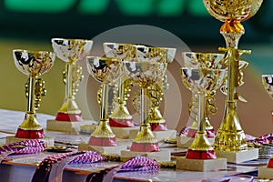 Gold champion trophies and medals lined up in rows. Gold sports cups on the table.