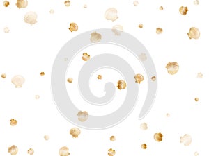 Gold chic seashells vector illustration, marine mollusks shells