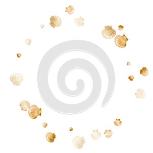 Gold chic seashells vector illustration, marine mollusks shells