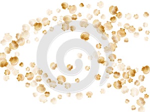 Gold chic seashells vector illustration, marine mollusks shells