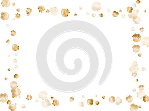 Gold chic seashells vector illustration, marine mollusks shells