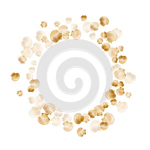 Gold chic seashells vector illustration, marine mollusks shells